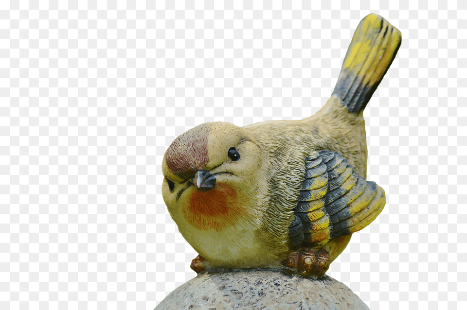 Bird Animal, Beak, Finch, Figurine Png
