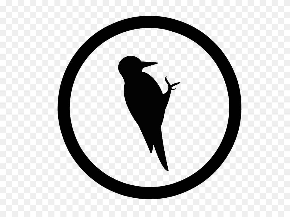 Bird Gray Free Transparent Png