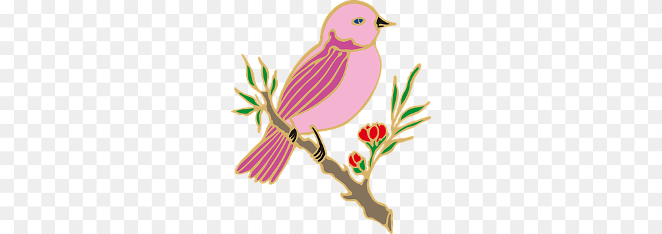 Bird Animal, Finch, Person Free Transparent Png