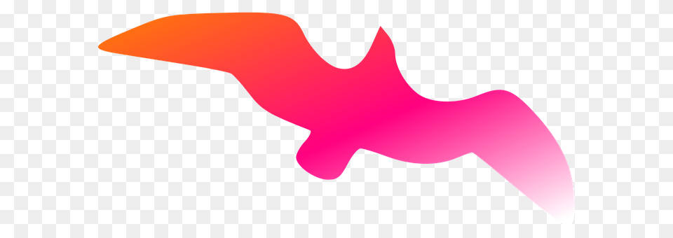 Bird Person Png Image