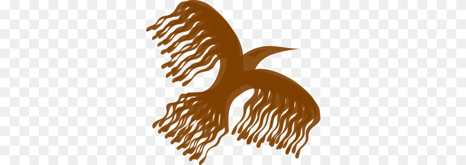 Bird Png Image