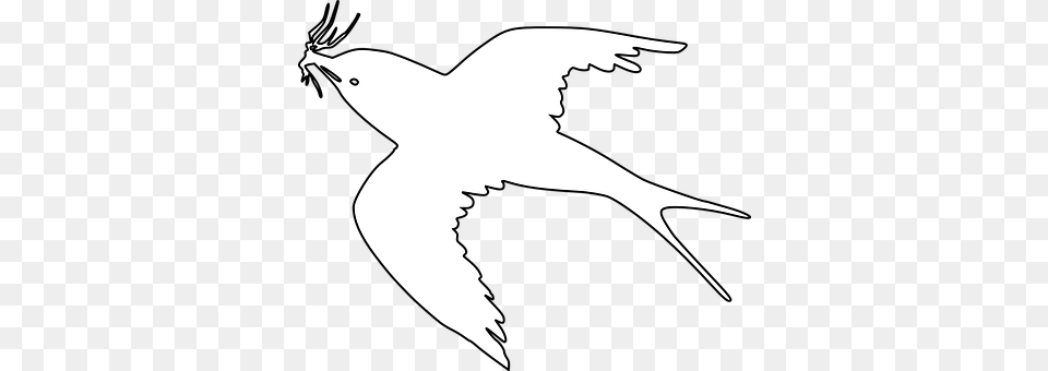 Bird Stencil, Silhouette, Animal, Flying Free Transparent Png