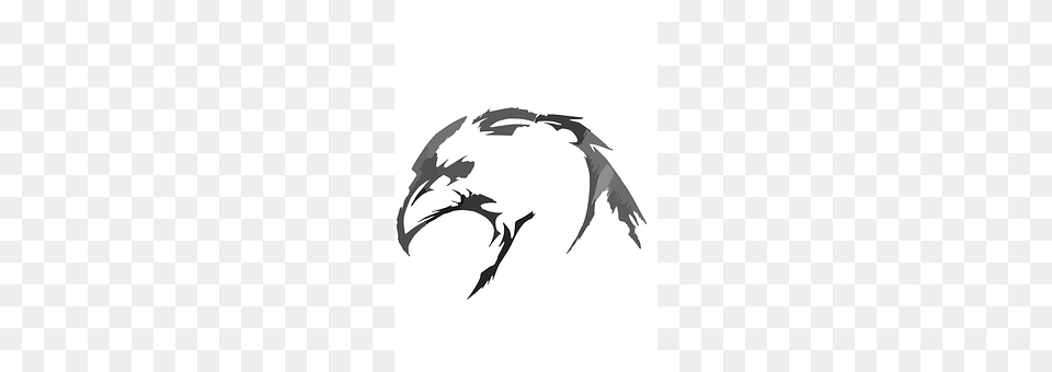 Bird Stencil, Animal, Fish, Sea Life Free Png Download