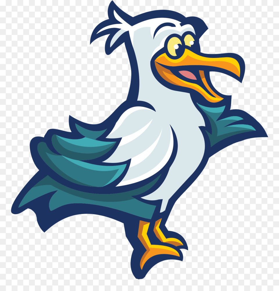 Bird, Animal, Beak Png Image