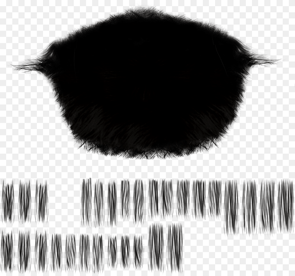 Bird Png