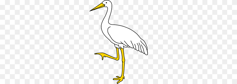 Bird Animal, Crane Bird, Stork, Waterfowl Png Image