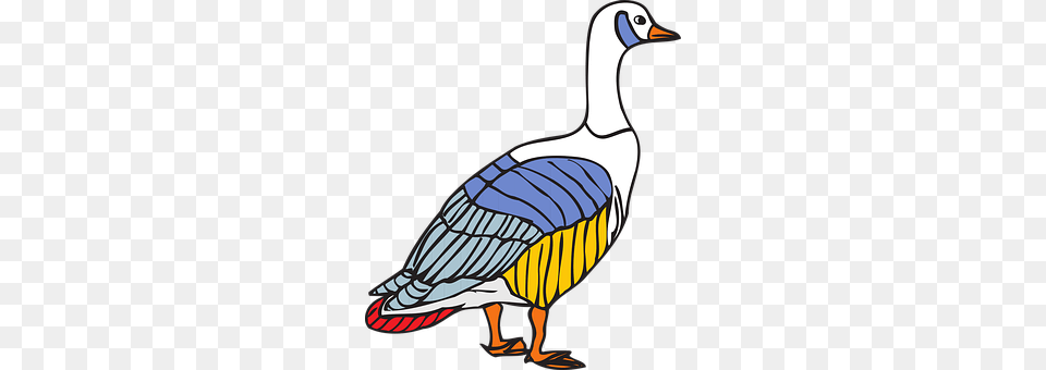 Bird Animal, Goose, Waterfowl, Fish Free Png