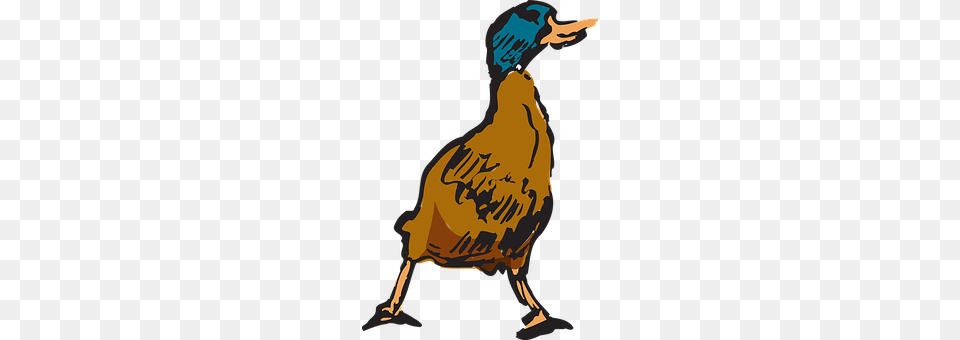 Bird Animal, Beak, Person Free Png