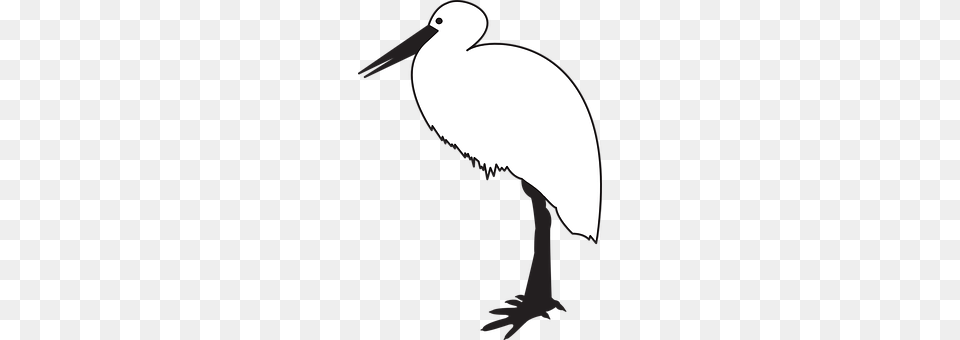 Bird Animal, Waterfowl, Crane Bird, Stork Png Image