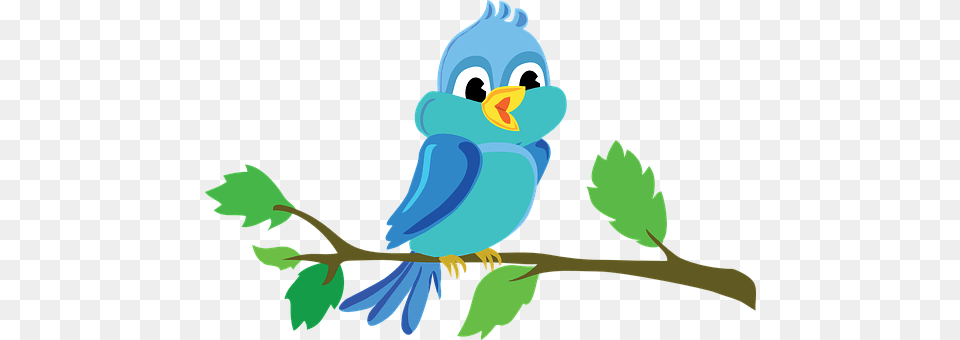 Bird Animal, Beak, Jay, Bluebird Free Transparent Png