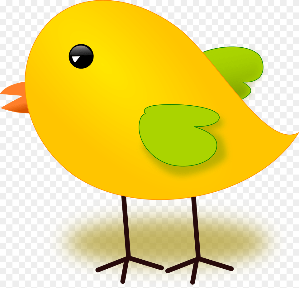 Bird And Chicken Clip Art, Animal Free Png Download