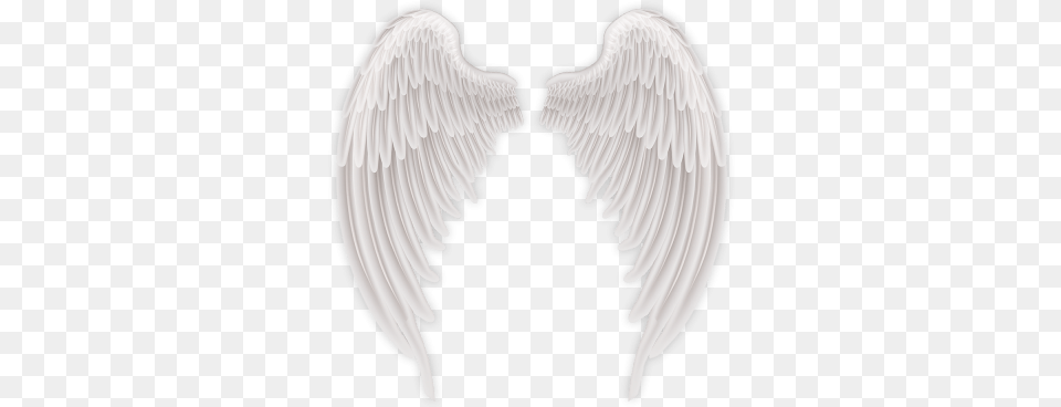 Bird Angels Wings Photo Image Hd Angel Wings, Animal, Vulture Png