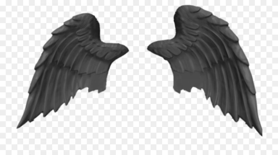 Bird Angels Wings Photo Image Pankh, Angel, Person Free Transparent Png