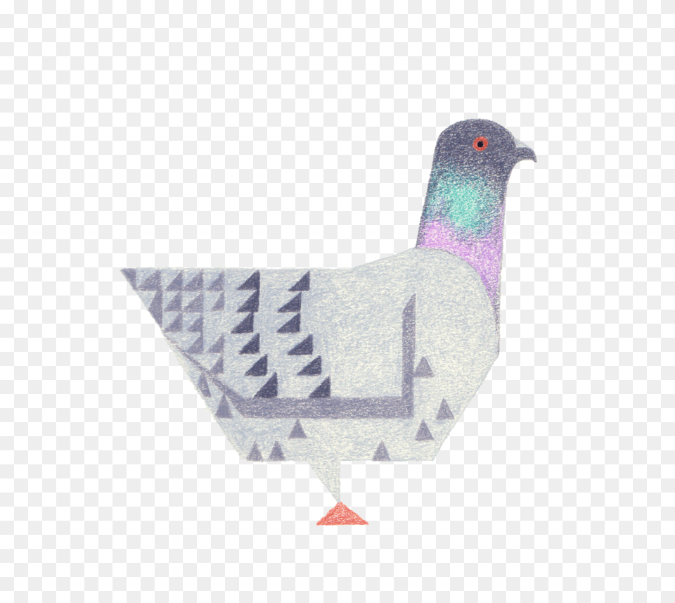 Bird Art U2014 American Cyborg Pigeons, Animal, Pigeon, Dove Png
