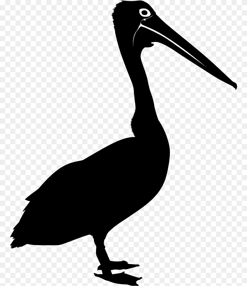 Bird Australian Pelican Silhouette Clip Art Pelicano Silueta, Gray Free Png