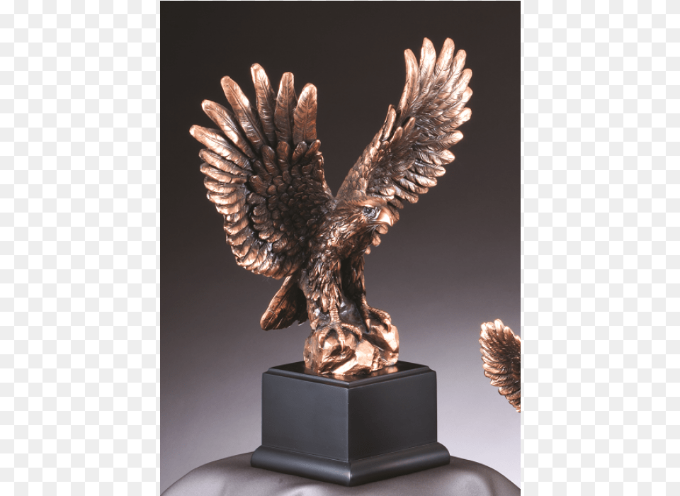 Bird Award Plaques, Bronze, Animal Free Png