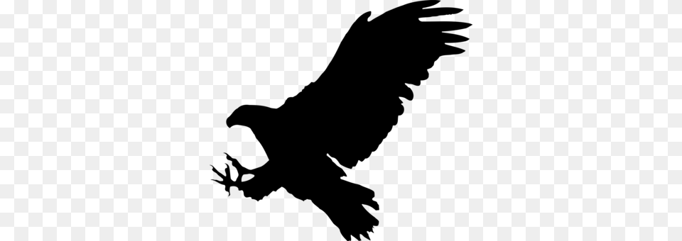 Bird Bald Eagle Silhouette Golden Eagle, Gray Free Png