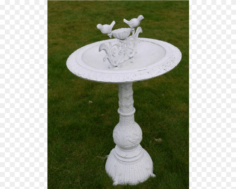 Bird Bath, Animal, Birdbath Free Transparent Png