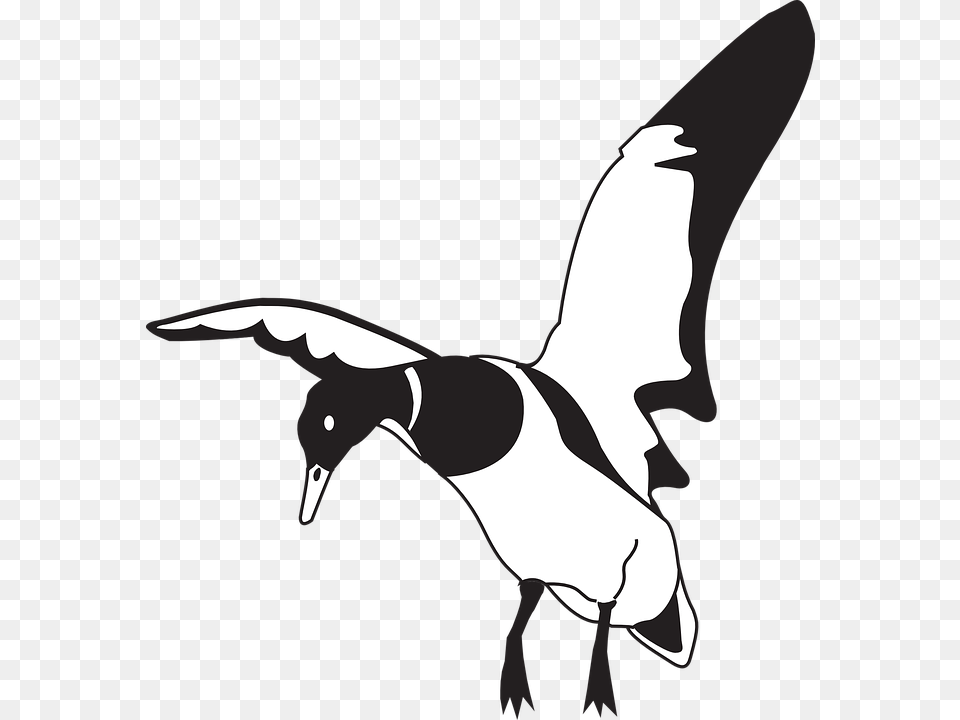 Bird Beak Clip Art Black White Cliparts, Animal, Flying, Goose, Waterfowl Free Png Download