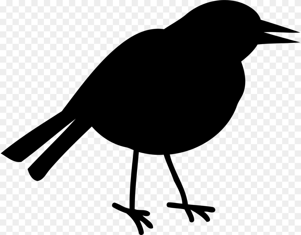 Bird Beak Silhouette American Crow Wing, Gray Free Png