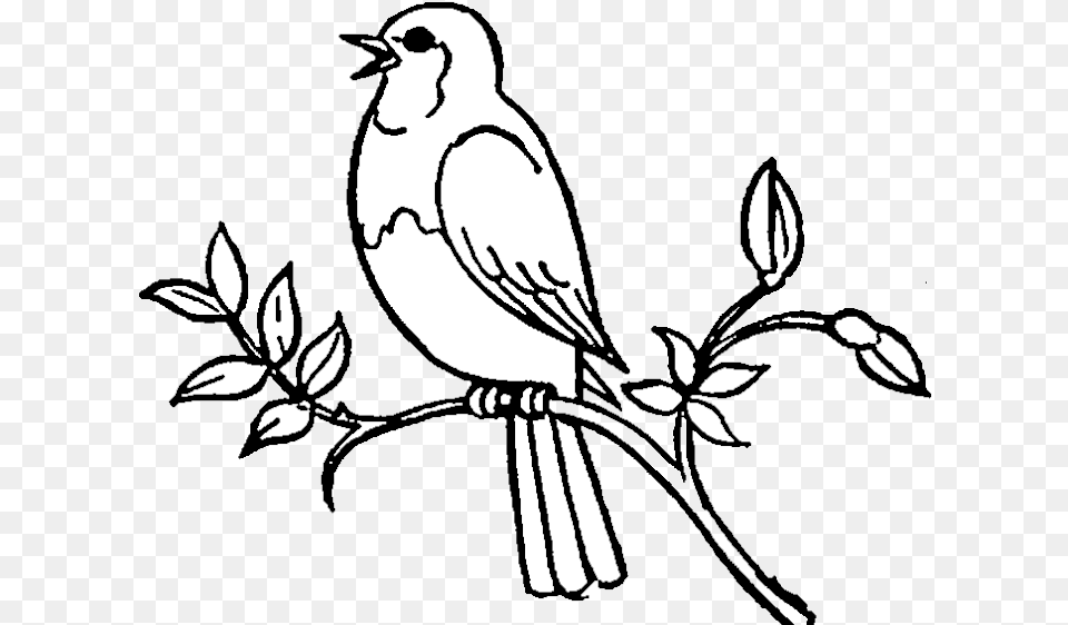 Bird Birds Clipart Black And White Cute Birds Clipart Black And White, Stencil, Animal, Jay Free Png Download