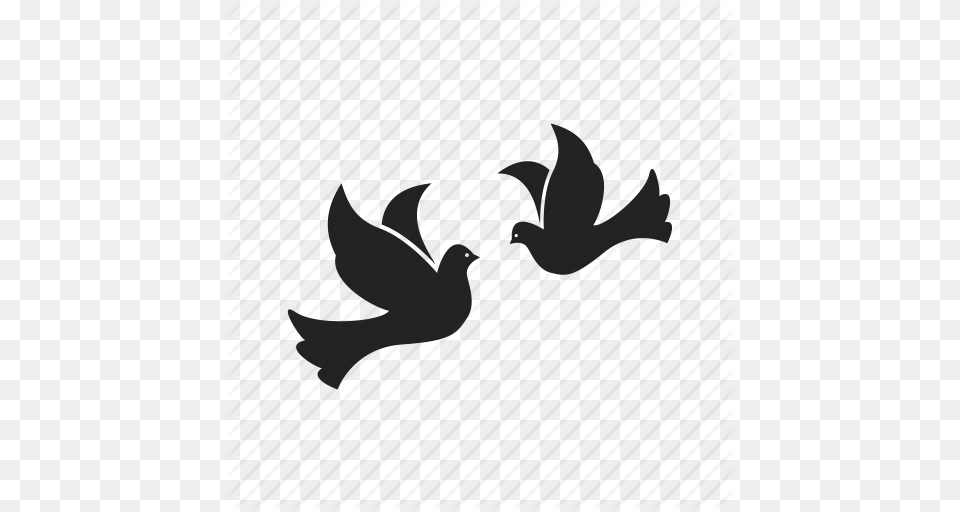 Bird Birds Dove Doves Flight Fly Flying Peace Wing Icon, Leaf, Plant, Animal, Fish Png