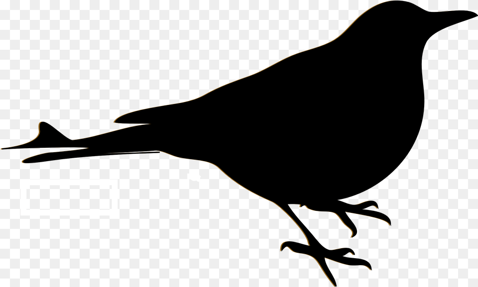 Bird Blackbird Sillhouette Free Vector Graphic On Pixabay Desenhos De Passaros Pretos, Electronics, Hardware, Outdoors, Nature Png Image