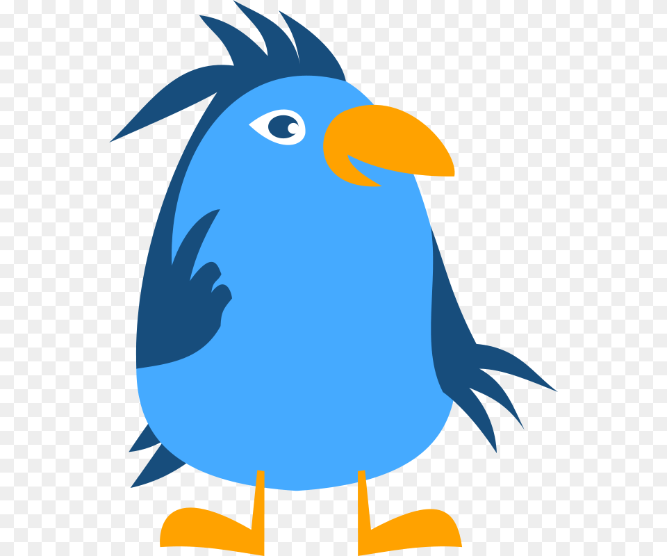 Bird Blue, Animal, Beak, Jay, Baby Png Image