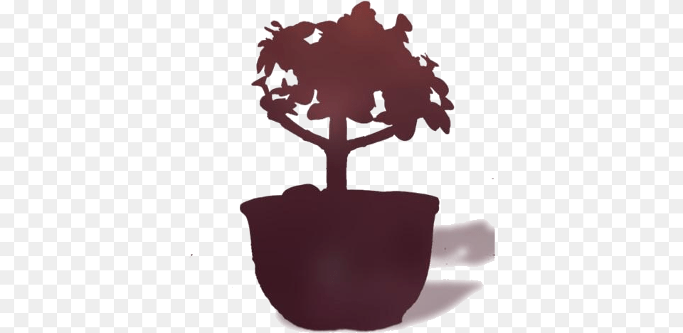 Bird Bonsai Indoor Jade Tree Free Download Flowerpot, Plant, Potted Plant Png