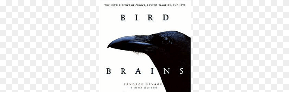 Bird Brains Bird Brains The Intelligence Of Crows Ravens Magpies, Book, Publication, Appliance, Blow Dryer Png