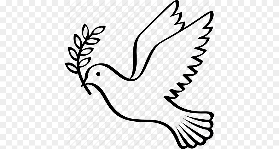 Bird Branch Dove Flying Olive Peace Symbol Icon Free Transparent Png