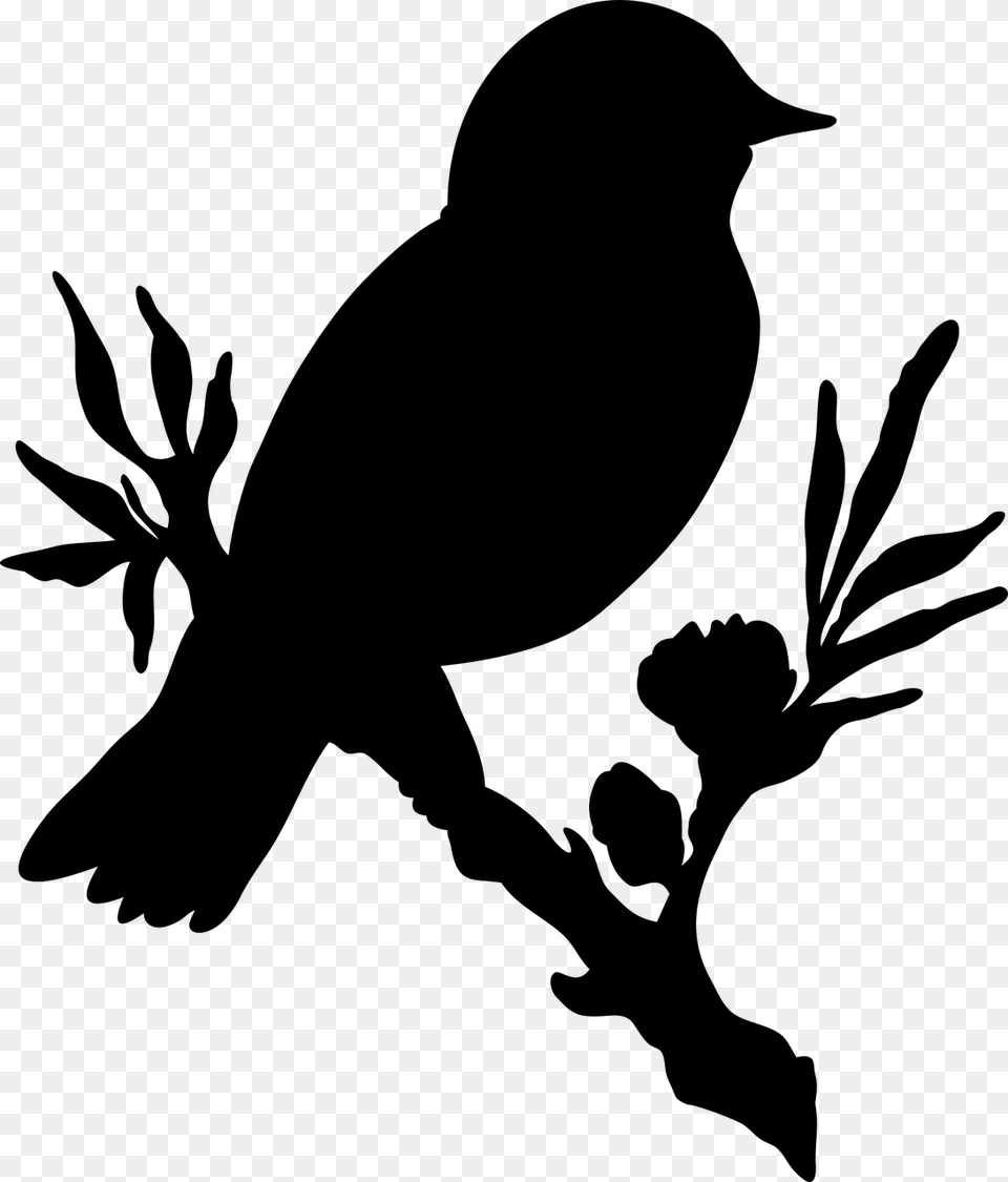 Bird Branch Flower Picture Silhouette Bird On Branch, Gray Free Png Download