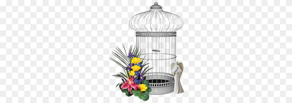 Bird Cage Flower, Flower Arrangement, Flower Bouquet, Plant Free Png Download
