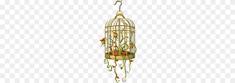 Bird Cage Chandelier, Lamp Png Image