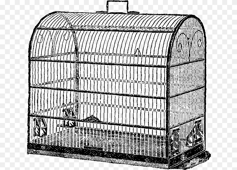 Bird Cage Birdcage Png Image