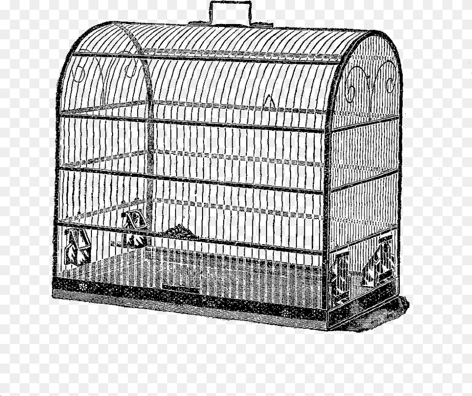 Bird Cage Digital Stamp Birdcage Free Png Download