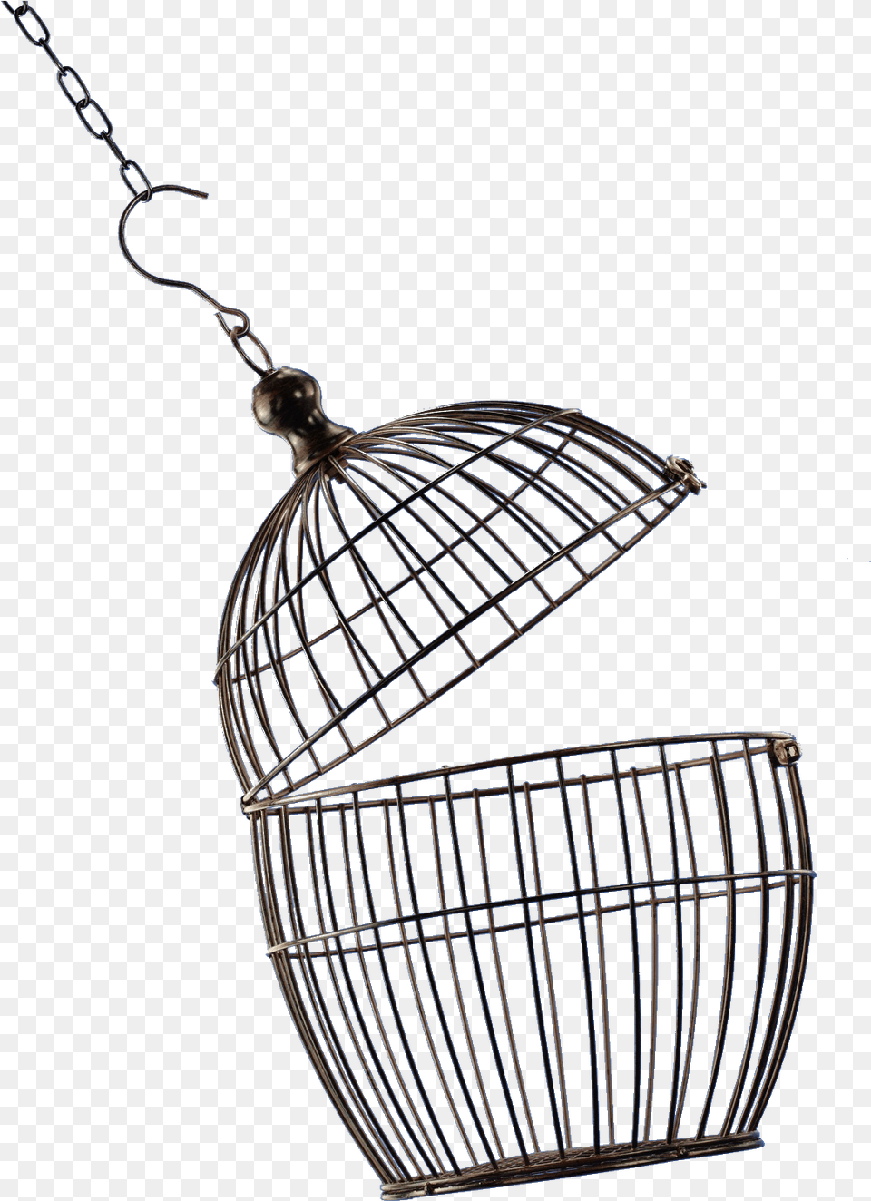 Bird Cage Open Bird Cage, Accessories Png Image