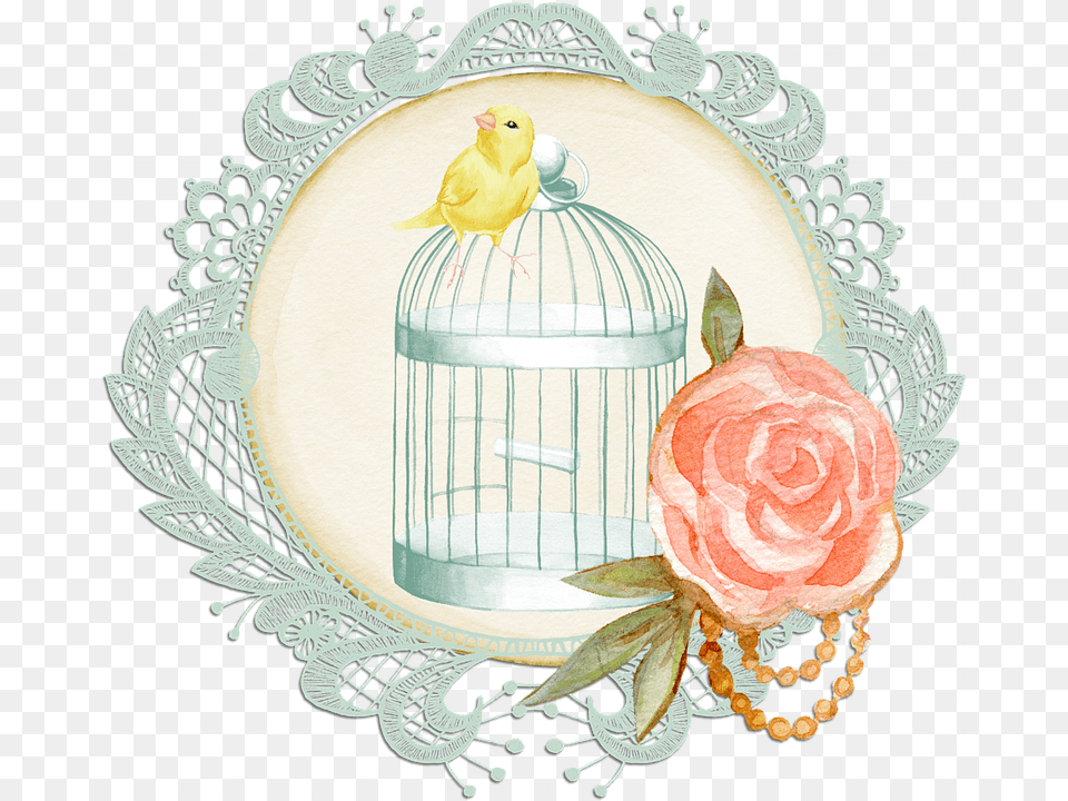 Bird Cage Rose On Pixabay Decorative, Flower, Plant, Animal, Finch Free Png Download