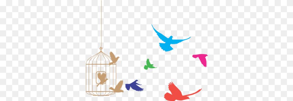 Bird Cage Transparent Birds Flying Clipart, Animal, Parakeet, Parrot, Fish Png Image