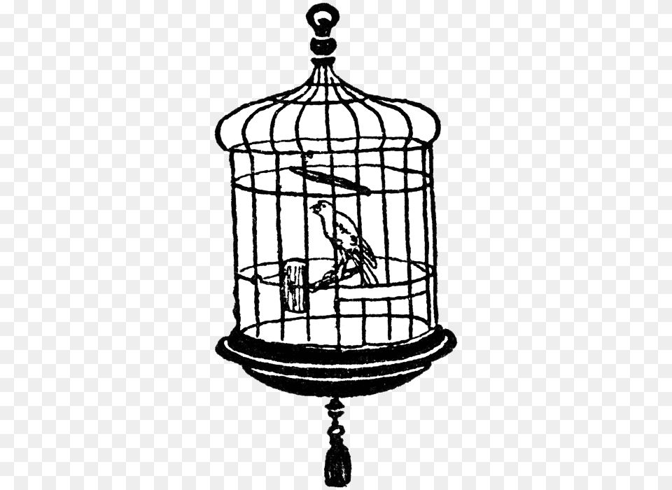 Bird Cage Transparent Clipart Bird In Cage Transparent, Lamp, Animal Png Image
