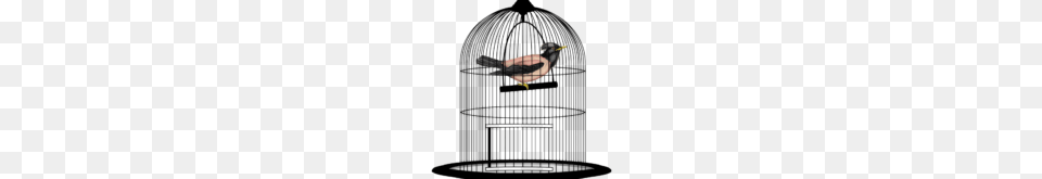 Bird Cage Transparent Image Transparent Best Stock Photos, Animal, Finch, Gate Png