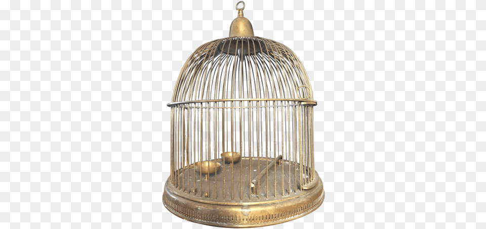 Bird Cage Vintage Bird Cage Cage Vippng Largest Mailbox, Chandelier, Lamp Free Png Download