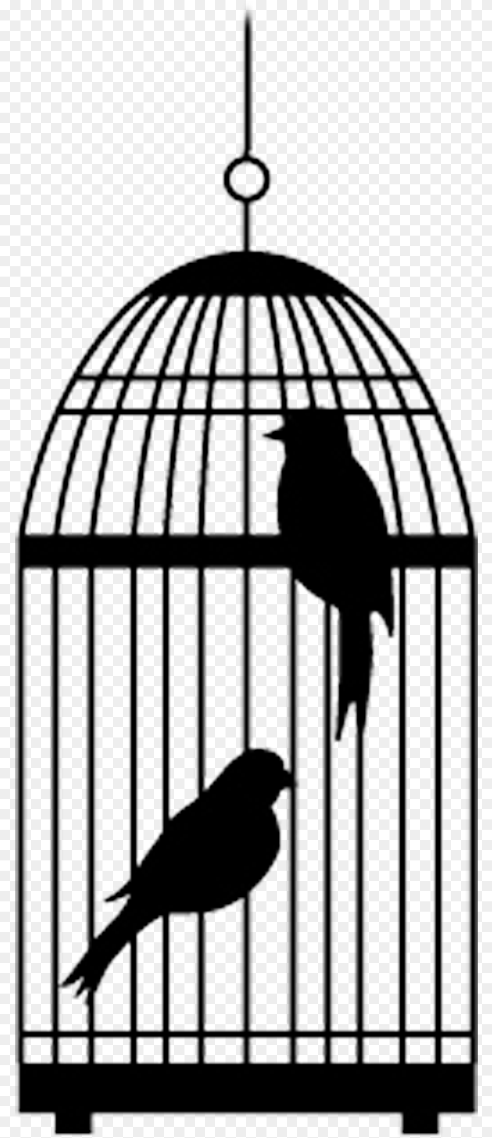 Bird Cage With Two Birds Transparent Cartoons Cage Clipart Bird In A Cage Transparent Background, Animal Png