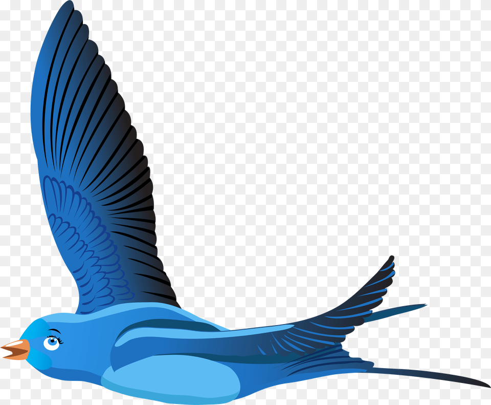 Bird Cartoon Clipart, Animal, Fish, Sea Life, Shark Png Image