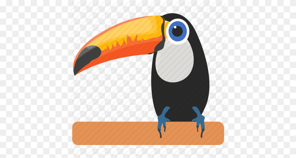 Bird Cartoon Toucan Ramphastidae Toco Toucan Toucan Icon, Animal, Beak Free Png