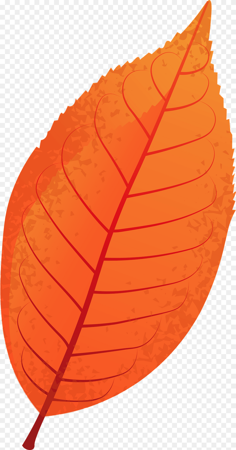 Bird Cherry Autumn Leaf Clipart, Plant, Dynamite, Weapon Png