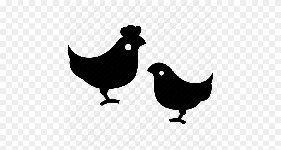 Bird Chicken Domestic Bird Easter Farm Hen Poultry Icon, Animal, Fowl Free Png Download