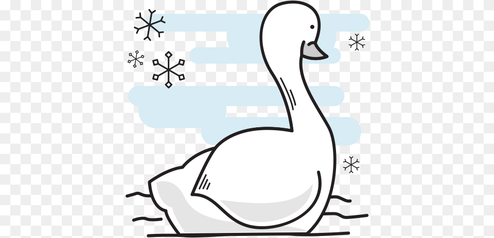 Bird Christmas Duck Goose Swan Swimming Icon Christmas Day, Animal, Waterfowl, Anseriformes Png Image