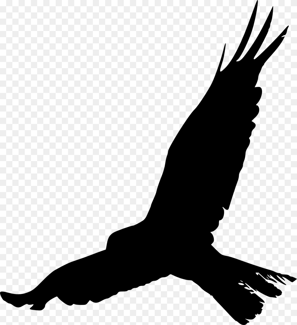 Bird Claw Transparent Bird Claw, Animal, Flying, Silhouette, Blackbird Free Png Download
