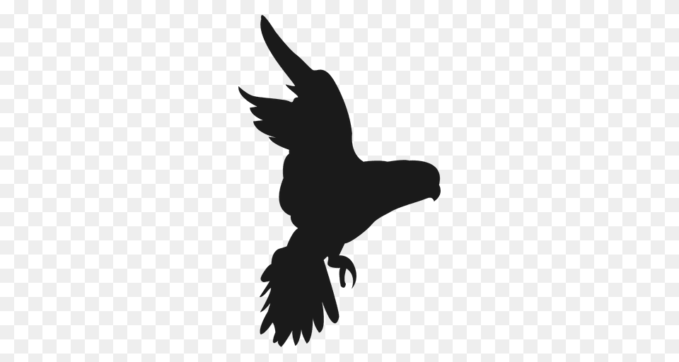 Bird Claw Bird Claw Images, Silhouette, Animal, Blackbird, Flying Free Transparent Png